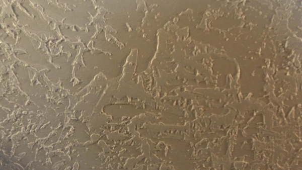 brocade texture ceiling