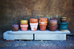 flower-pots-553459_640