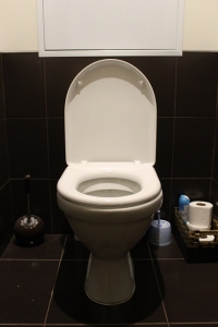toilet-663707_640