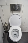 toilet image grey