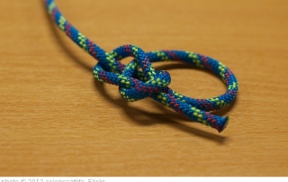 bowline knot pic